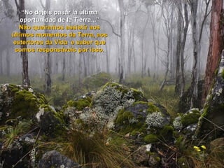 “ No dejeis pasar la última oportunidad de la Tierra...” Não queiramos assistir aos últimos momentos da Terra, aos estertores da Vida  e saber que somos responsáveis por isso. 