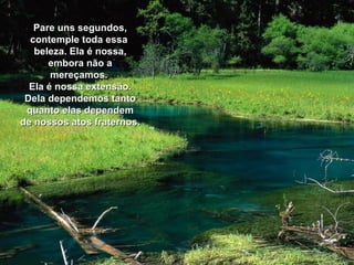 Pare uns segundos, contemple toda essa  beleza. Ela é nossa, embora não a mereçamos.  Ela é nossa extensão. Dela dependemos tanto quanto elas dependem de nossos atos fraternos. 
