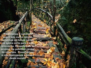 Permitamos à natureza seguir seu curso natural. Deixemos as folhas caírem na época certa para a sua renovação. Respeitemos as árvores, os pulmões verdes da natureza.  Preservemos e não destruamos a beleza deste mundo. 