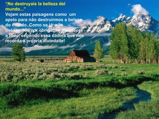 “ No destruyais la belleza del mundo...” Vejam estas paisagens como  um apelo para não destruirmos a beleza do mundo. Como se já  não tivéssemos por obrigação agradecer a todo  segundo essa dádiva que nos  recorda a própria divindade! 