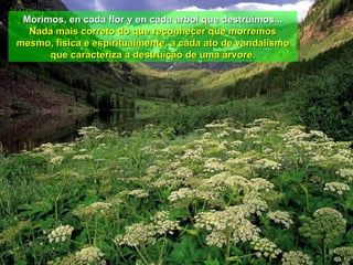 Morimos, en cada flor y en cada arbol que destruimos... Nada mais correto do que reconhecer que morremos mesmo, física e espiritualmente, a cada ato de vandalismo que caracteriza a destruição de uma árvore. 