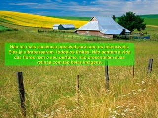 Não há mais paciência possível para com os insensíveis. Eles já ultrapassaram  todos os limites. Não sentem a vida das flores nem o seu perfume, não presenteiam suas retinas com tão belas imagens. 