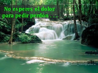 No esperes el dolor  para pedir perdón . . . 