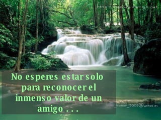 No esperes estar solo  para reconocer el inmenso valor   de un amigo . . .   