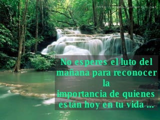 No esperes el luto del mañana para reconocer la importancia de quienes están hoy en tu vida ... 