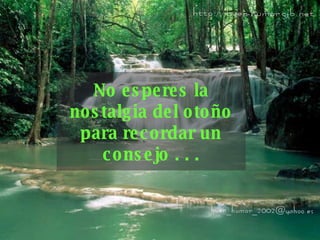 No esperes la nostalgia del otoño para recordar un consejo . . . 