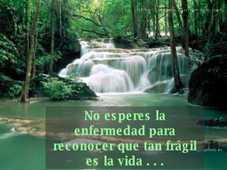 No esperes la enfermedad para reconocer que tan frágil   es la vida . . . 