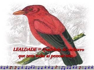 LEALDADE = Qualidade de cachorro que nem todas as pessoas tem. 