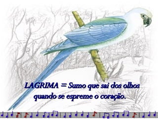LAGRIMA = Sumo que sai dos olhos quando se espreme o coração. 
