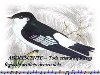 ADOLESCENTE = Toda criatura que tem  fogos de artifício dentro dela. 
