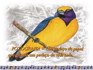 FOTOGRAFIA = Um pedaço de papel que guarda um pedaço de vida nele. 