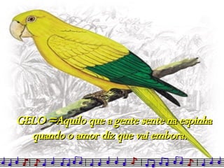 GELO =Aquilo que a gente sente na espinha quando o amor diz que vai embora.  