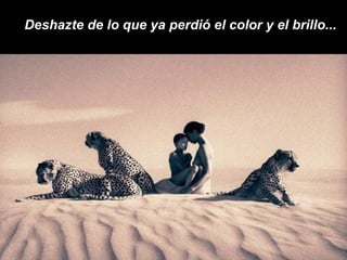 Deshazte de lo que ya perdió el color y el brillo... 