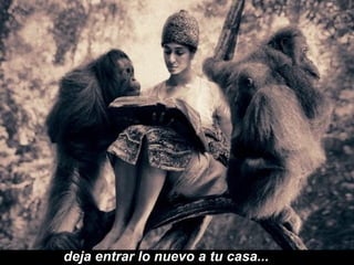 deja entrar lo nuevo a tu casa...  