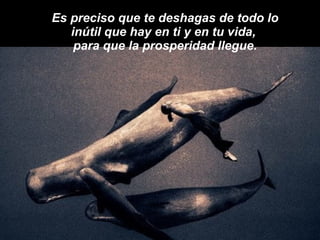 Es preciso que te deshagas de todo lo inútil que hay en ti y en tu vida,  para que la prosperidad llegue. 