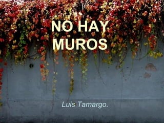 NO HAY MUROS Luis Tamargo. 
