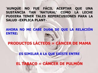 'AUNQUE NO FUE FÁCIL ACEPTAR QUE UNA SUSTANCIA TAN 'NATURAL' COMO LA LECHE PUDIERA TENER TALES REPERCUSIONES PARA LA SALUD -EXPLICA PLANT- AHORA NO ME CABE DUDA DE QUE LA RELACIÓN ENTRE : PRODUCTOS LÁCTEOS = CÁNCER DE MAMA ES SIMILAR A LA QUE EXISTE ENTRE EL TABACO = CÁNCER DE PULMÓN 