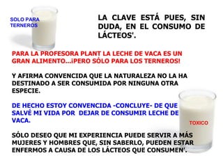 LA CLAVE ESTÁ PUES, SIN DUDA, EN EL CONSUMO DE LÁCTEOS'. PARA LA PROFESORA PLANT LA LECHE DE VACA ES UN GRAN ALIMENTO...¡PERO SÓLO PARA LOS TERNEROS! Y AFIRMA CONVENCIDA QUE LA NATURALEZA NO LA HA DESTINADO A SER CONSUMIDA POR NINGUNA OTRA ESPECIE. DE HECHO ESTOY CONVENCIDA -CONCLUYE- DE QUE SALVÉ MI VIDA POR  DEJAR DE CONSUMIR LECHE DE VACA.  SÓLO DESEO QUE MI EXPERIENCIA PUEDE SERVIR A MÁS MUJERES Y HOMBRES QUE, SIN SABERLO, PUEDEN ESTAR ENFERMOS A CAUSA DE LOS LÁCTEOS QUE CONSUMEN'. TOXICO SOLO PARA TERNEROS 