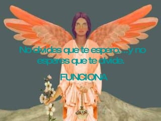 FUNCIONA No olvides que te espero....y no esperes que te olvide.