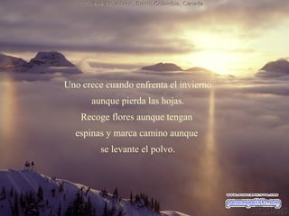 Uno crece cuando enfrenta el invierno
      aunque pierda las hojas.
    Recoge flores aunque tengan
  espinas y marca camino aunque
         se levante el polvo.
 