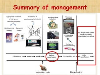 Summary of management
 