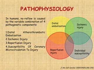 PATHOPHYSIOLOGY
In humans, no-reflow is caused
by the variable combination of 4
pathogenetic components:
1.Distal Atherothrombotic
Embolization
2.Ischemic Injury
3.Reperfusion Injury
4.Susceptibility Of Coronary
Microcirculation To Injury
Distal
embolization
Ischemic
injury
Individual
susceptibility
Reperfusion
injury
J Am Coll Cardiol. 2009;54(4):281-292.
 