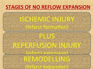 STAGES OF NO REFLOW EXPANSION
• MYOCYTE CHANGES- subendocardium, swollen cells,
tissue edema
• VASCULAR CHANGES- intraluminal protrusions, cell
swelling, extrinsic compression due to tissue edema
• REPERFUSION INJURY- microembolisation of thrombi,
cholesterol crystals, oxygen free radicalsaggravate
myocyte & vascular changes, microvascular spasm,
microvascular pluggingloss of cell integrity, cell break,
extravasation
• SCAR- irreversible noreflowcontracture
ISCHEMIC INJURY
(infarct formation)
PLUS
REPERFUSION INJURY
(infarct extension)
REMODELLING
(infarct expansion)
 