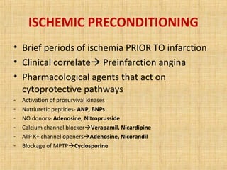 ISCHEMIC PRECONDITIONING
• Brief periods of ischemia PRIOR TO infarction
• Clinical correlate Preinfarction angina
• Pharmacological agents that act on
cytoprotective pathways
- Activation of prosurvival kinases
- Natriuretic peptides- ANP, BNPs
- NO donors- Adenosine, Nitroprusside
- Calcium channel blockerVerapamil, Nicardipine
- ATP K+ channel openersAdenosine, Nicorandil
- Blockage of MPTPCyclosporine
 
