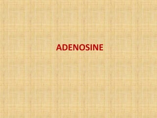 ADENOSINE
 