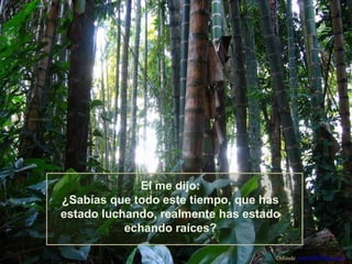 El me dijo:
¿Sabías que todo este tiempo, que has
estado luchando, realmente has estado
echando raíces?
Difunde AvanzaPorMas.com

 