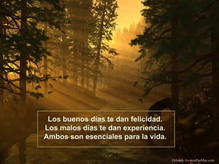 Los buenos días te dan felicidad.
Los malos días te dan experiencia.
Ambos son esenciales para la vida.
Difunde AvanzaPorMas.com

 