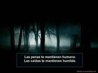Las penas te mantienen humano.
Las caídas te mantienen humilde.
Difunde AvanzaPorMas.com

 