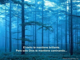 El éxito te mantiene brillante.
Pero sólo Dios te mantiene caminando...
Difunde AvanzaPorMas.com

 