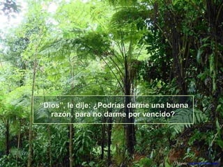 “Dios”, le dije: ¿Podrías darme una buena
razón, para no darme por vencido?

Difunde AvanzaPorMas.com

 