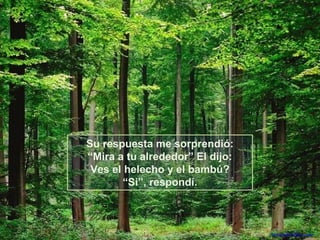 Su respuesta me sorprendió:
“Mira a tu alrededor” El dijo:
Ves el helecho y el bambú?
“Si”, respondí.

Difunde AvanzaPorMas.com

 