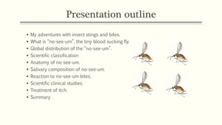 Invisible blood sucker: no-see-um (biting midge)  PPT
