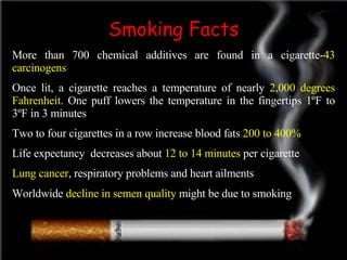 information about cigarette smoking | Smoking and Tobacco Use No Smoking | PPT