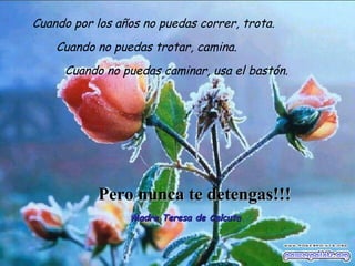 Cuando por los años no puedas correr, trota.
Cuando no puedas trotar, camina.
Cuando no puedas caminar, usa el bastón.
Pero nunca te detengas!!!Pero nunca te detengas!!!
Madre Teresa de CalcutaMadre Teresa de Calcuta