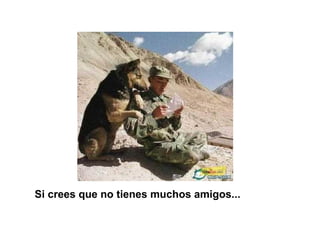 Si crees que no tienes muchos amigos...   
