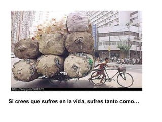 Si crees que sufres en la vida, sufres tanto como…   