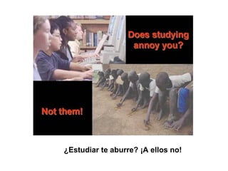 ¿Estudiar te aburre? ¡A ellos no!   