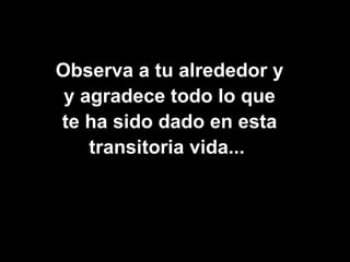 Observa a tu alrededor y y agradece todo lo que te ha sido dado en esta transitoria vida...  