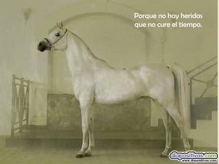 Porque no hay heridas
que no cure el tiempo.
 