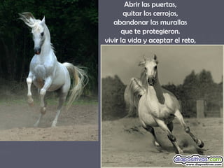 Abrir las puertas,
quitar los cerrojos,
abandonar las murallas
que te protegieron.
vivir la vida y aceptar el reto,
 