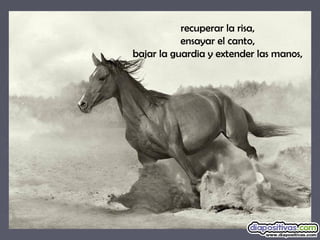 recuperar la risa,
ensayar el canto,
bajar la guardia y extender las manos,
 