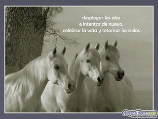 desplegar las alas
e intentar de nuevo,
celebrar la vida y retomar los cielos.
 