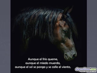 Aunque el frío queme,
aunque el miedo muerda,
aunque el sol se ponga y se calle el viento,
 