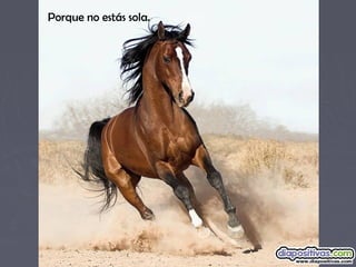 Porque no estás sola.
 