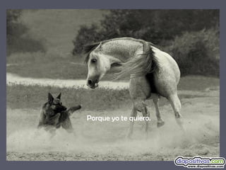Porque yo te quiero.
 