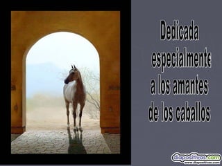 No te-rindas-diapositivas